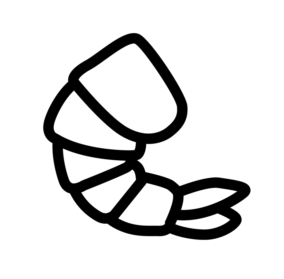 Shrimp Icon